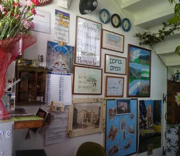 朱尼尔酒店 酒店