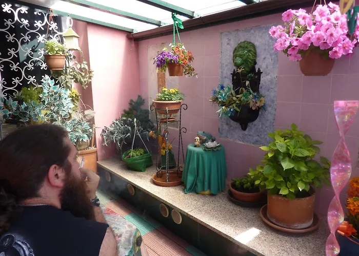 朱尼尔酒店 酒店